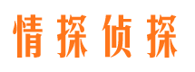 莘县市私家侦探